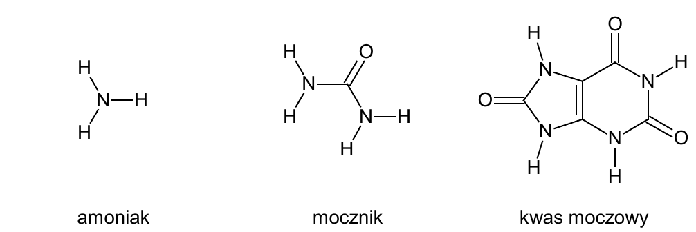 Wzory strukturalne trzech azotowych produktów przemiany materii: amoniak (NH3), mocznik (CO(NH2)2) i kwas moczowy (C5H4N4O3)