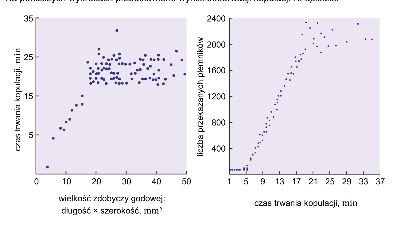 Dwa wykresy punktowe: lewy przedstawia zależność czasu trwania kopulacji (min) od wielkości zdobyczy godowej (długość × szerokość, mm2) — zależność rosnąca do plateau ok. 20 min; prawy przedstawia zależność liczby przekazanych plemników od czasu trwania kopulacji (min) — zależność rosnąca do plateau ok. 2000-2200 plemników