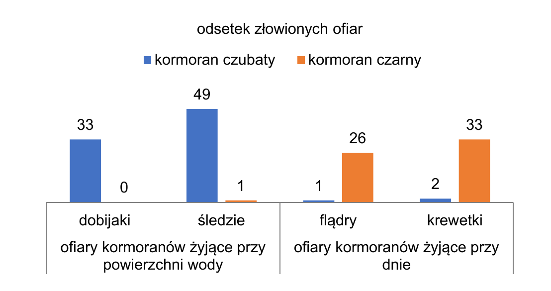 Biologia rozszerzona – grudzień 2024 – zadanie 20